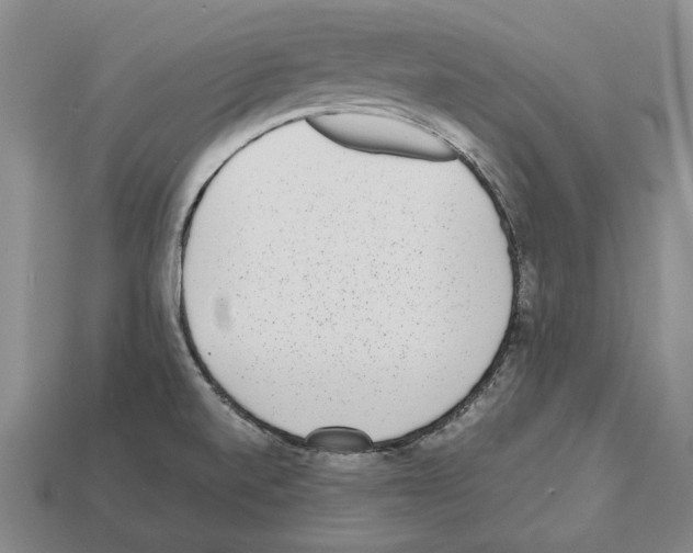 X0000112531520200909281027