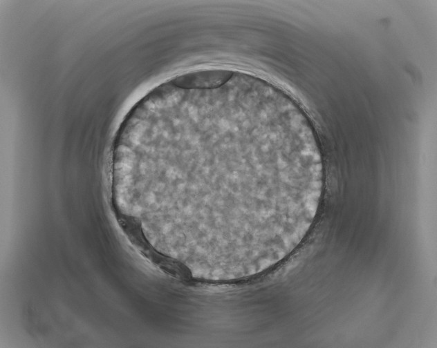 X0000112531522200909281027