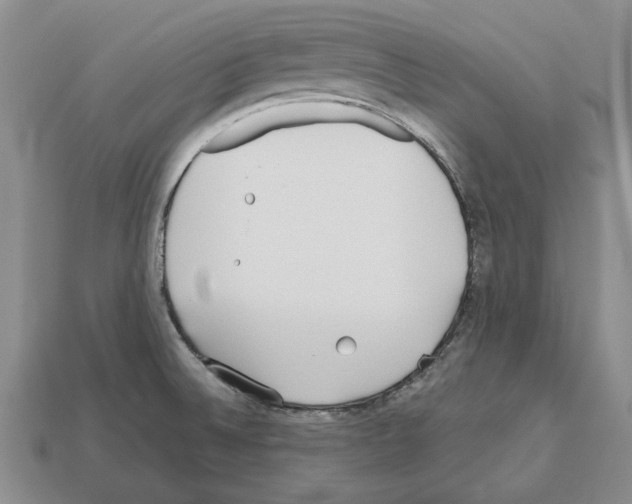 X0000112531524200909281027