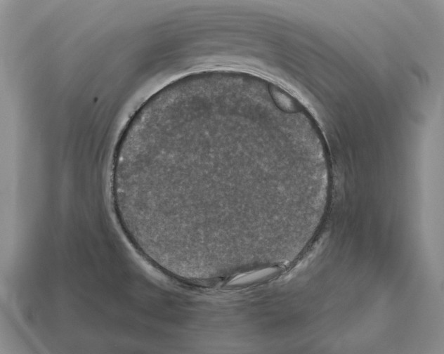 X0000112531525200909281027