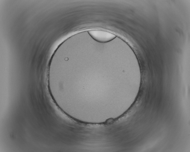 X0000112531526200909281027