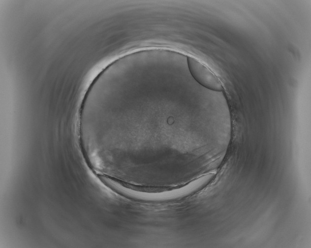 X0000112531527200909281027