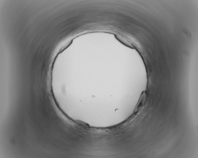 X0000112531528200909281027