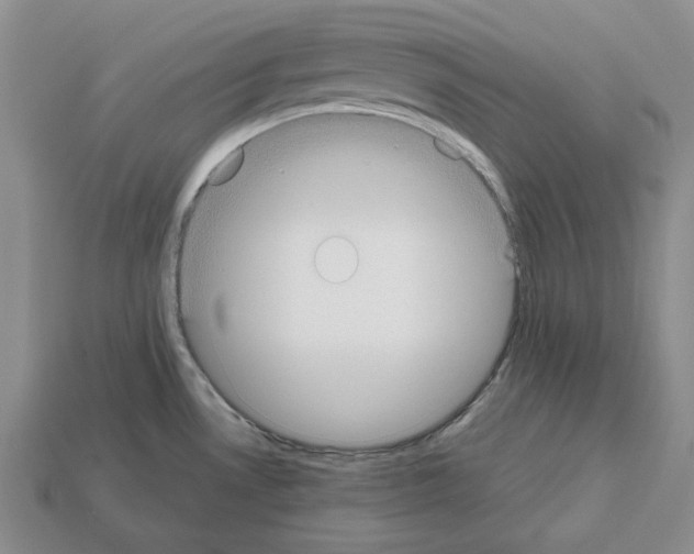 X0000112531530200909281027