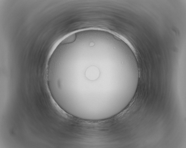 X0000112531532200909281027