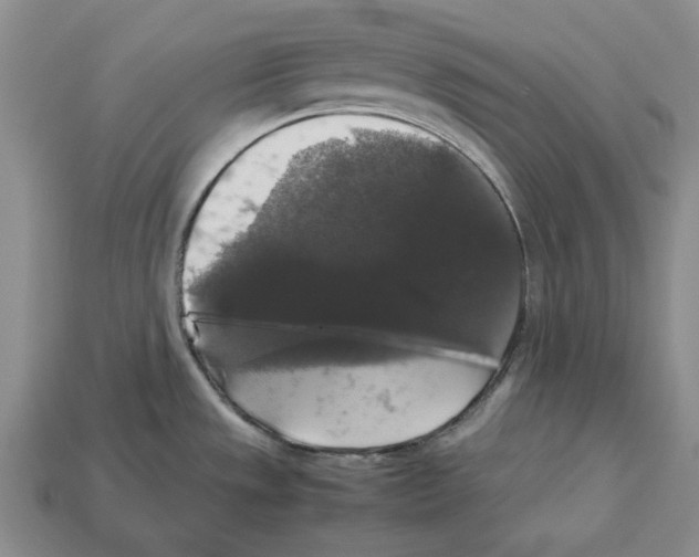 X0000112531533200909281027