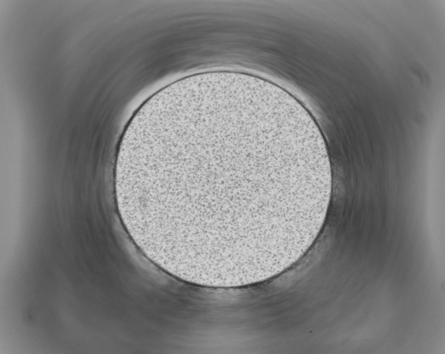 X0000112531534200909281027