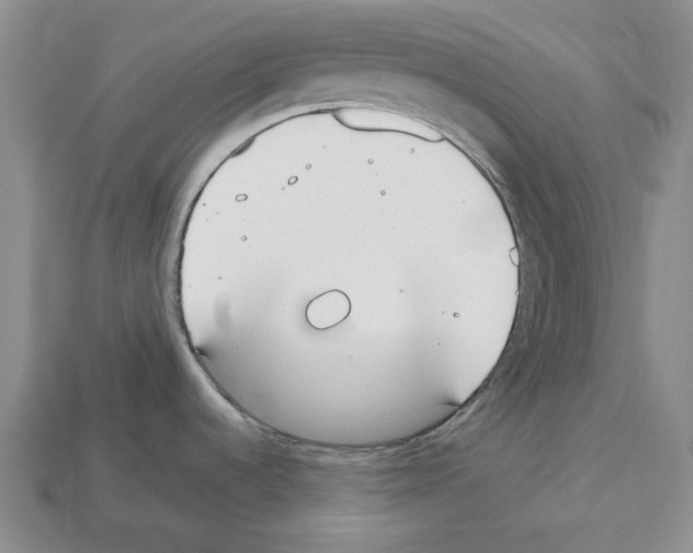 X0000112531536200909281027