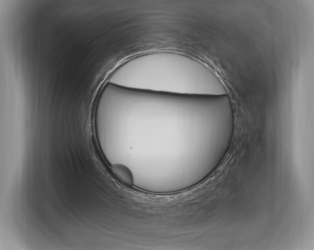 X0000112540002200908171215