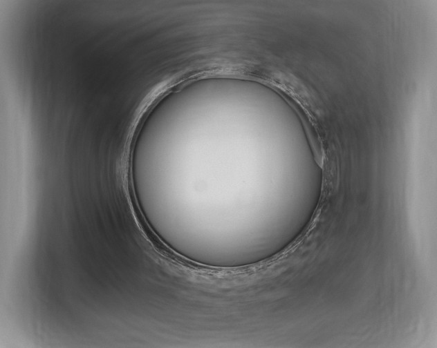 X0000112540003200908171215