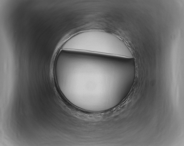 X0000112540004200908171215