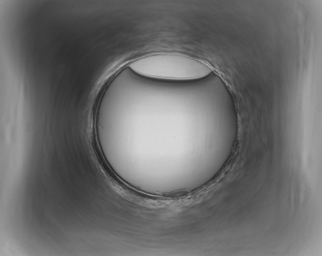 X0000112540005200908171215
