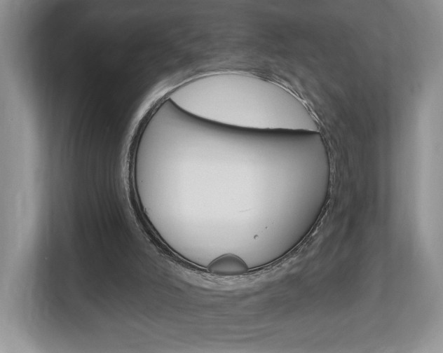 X0000112540006200908171215