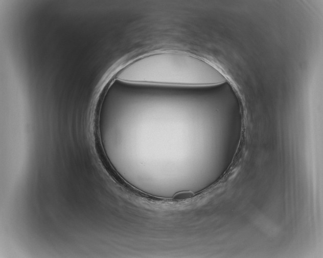 X0000112540007200908171215