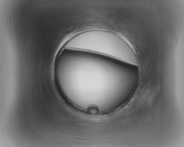 X0000112540008200908171215