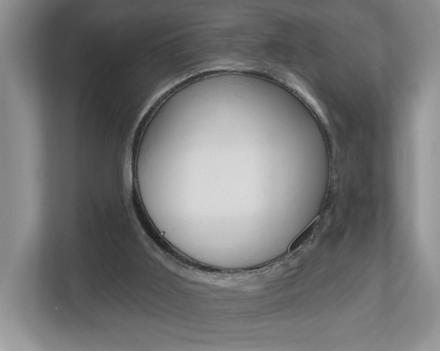 X0000112540011200908171215