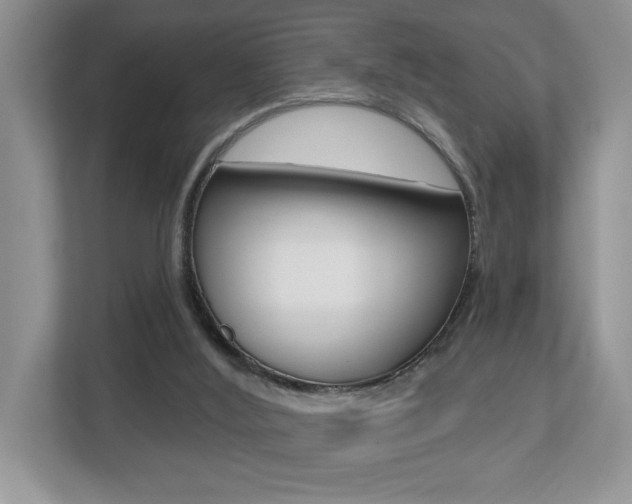 X0000112540012200908171215