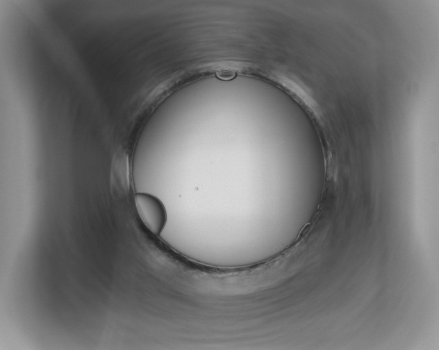 X0000112540013200908171215