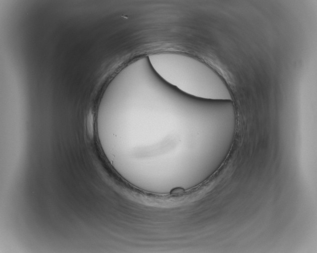 X0000112540014200908171215