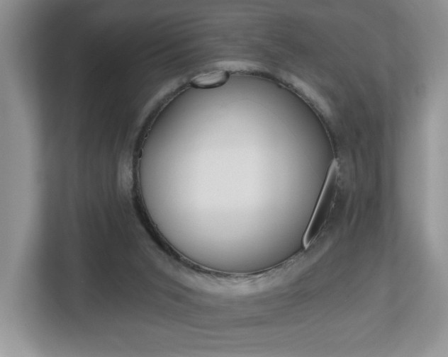 X0000112540015200908171215