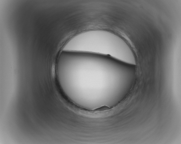 X0000112540019200908171215