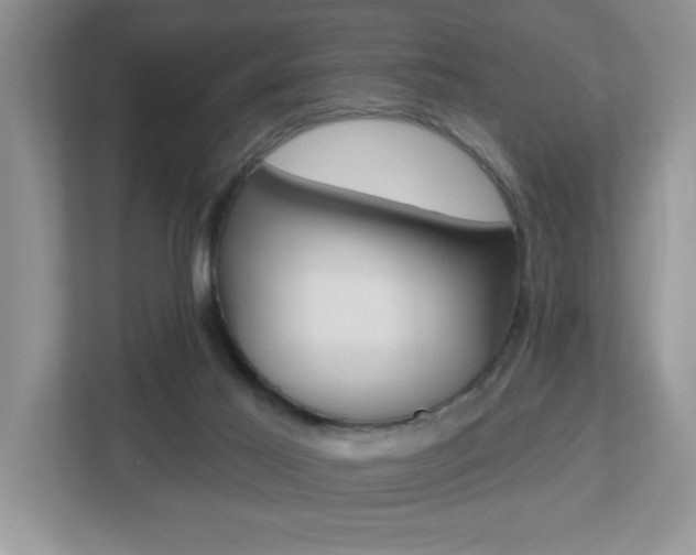 X0000112540021200908171215