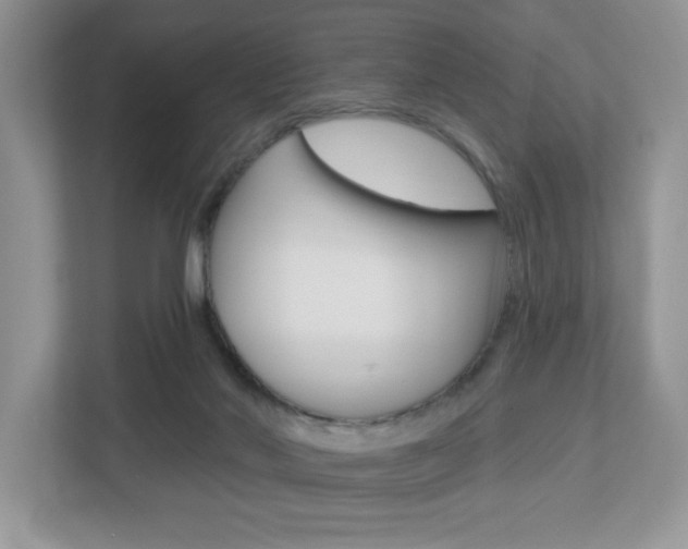 X0000112540022200908171215