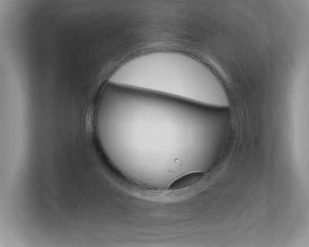 X0000112540023200908171215