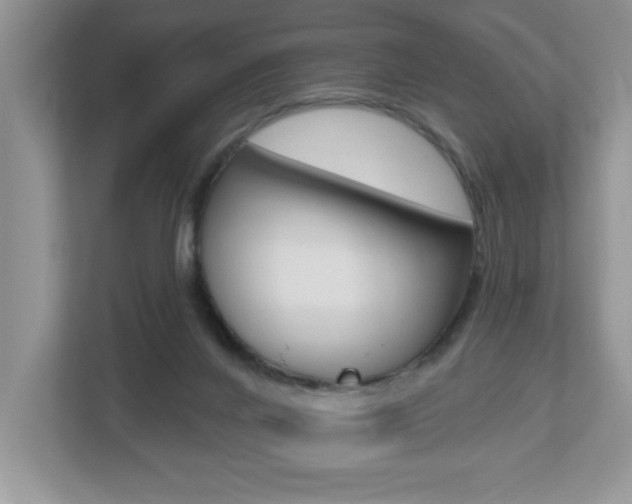 X0000112540024200908171215