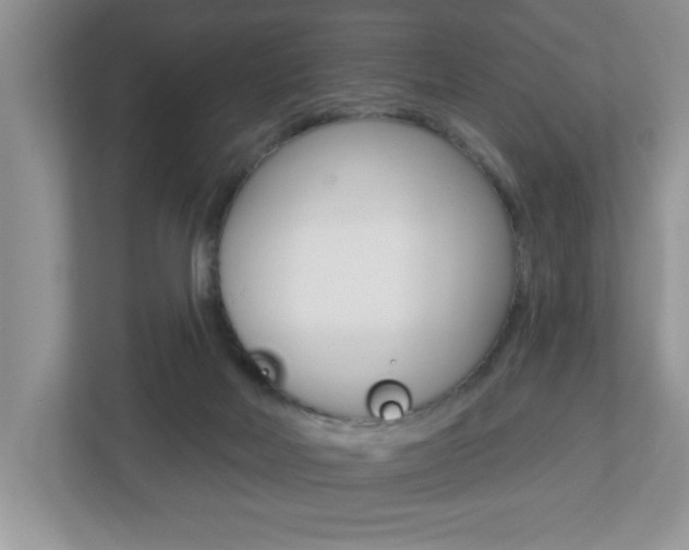 X0000112540026200908171215