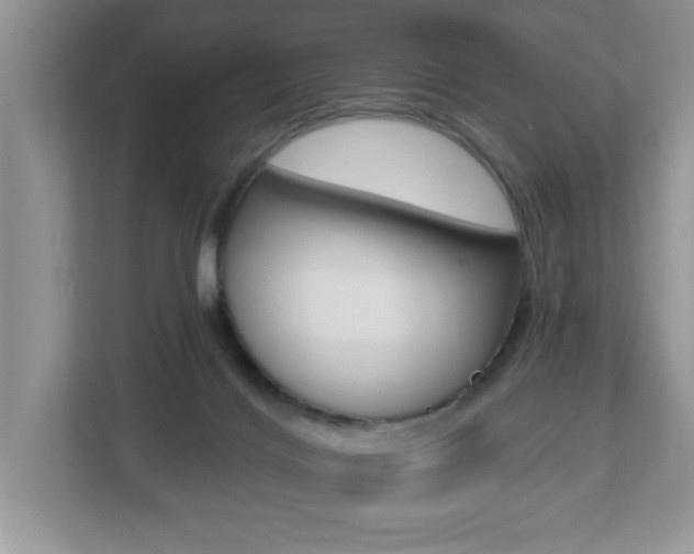 X0000112540028200908171215