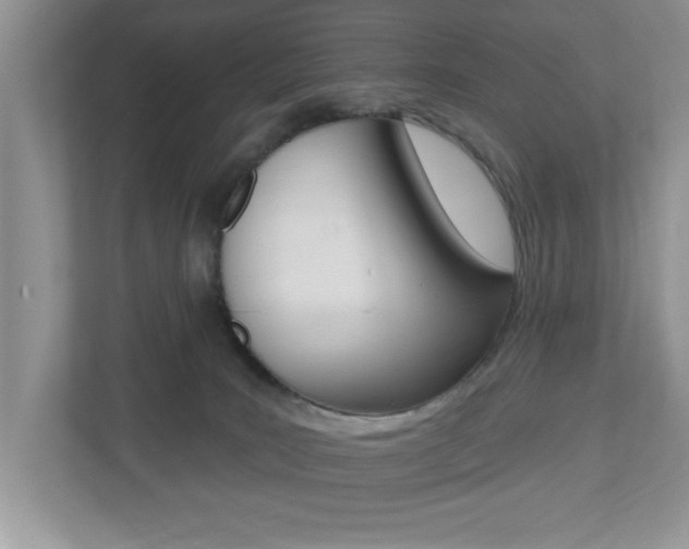 X0000112540035200908171215