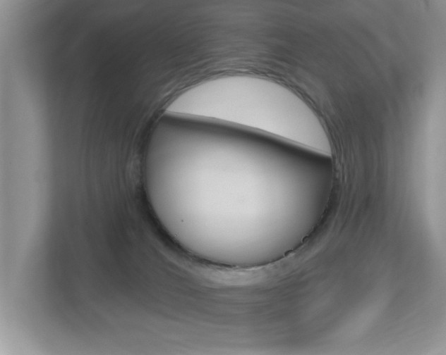 X0000112540036200908171215