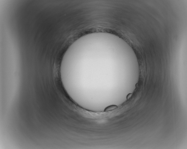 X0000112540038200908171215