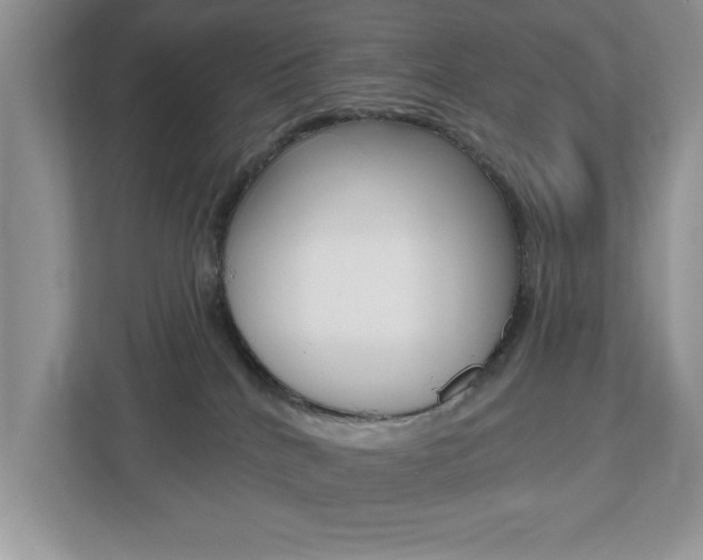 X0000112540040200908171215