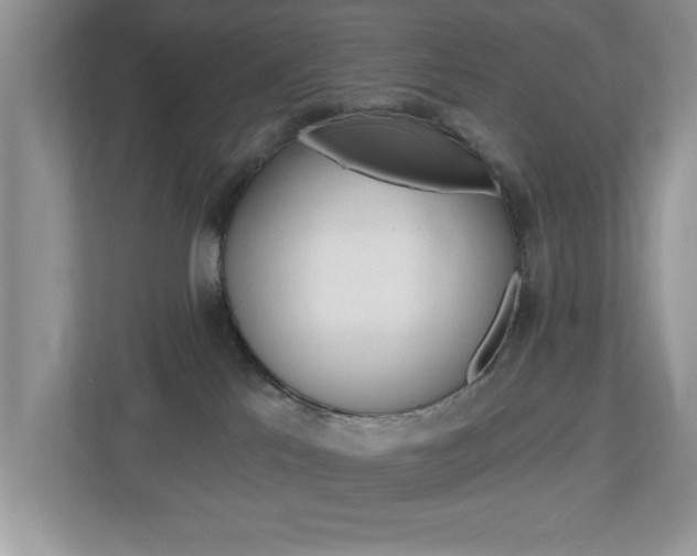 X0000112540041200908171215