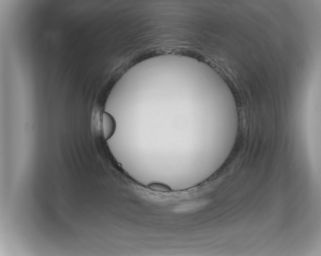 X0000112540042200908171215