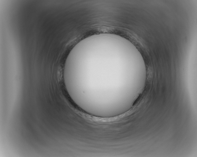X0000112540043200908171215