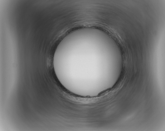 X0000112540044200908171215