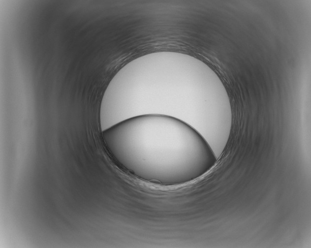 X0000112540047200908171215