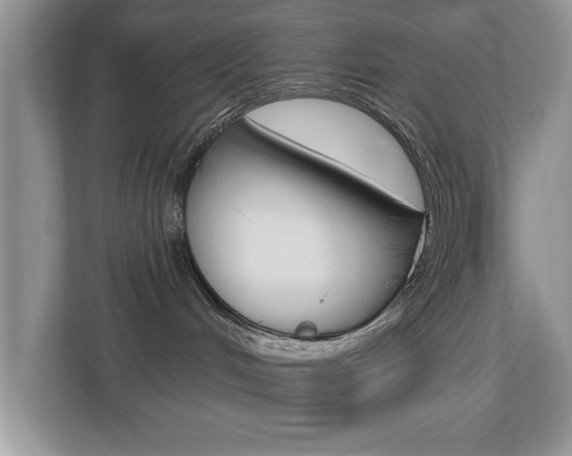 X0000112540048200908171215