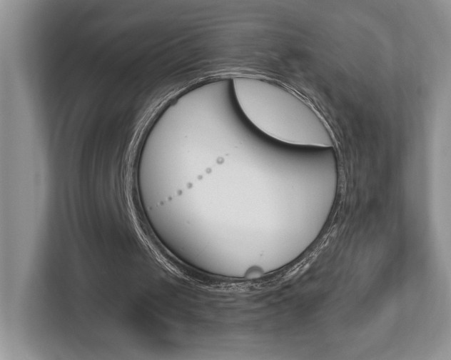X0000112540049200908171214