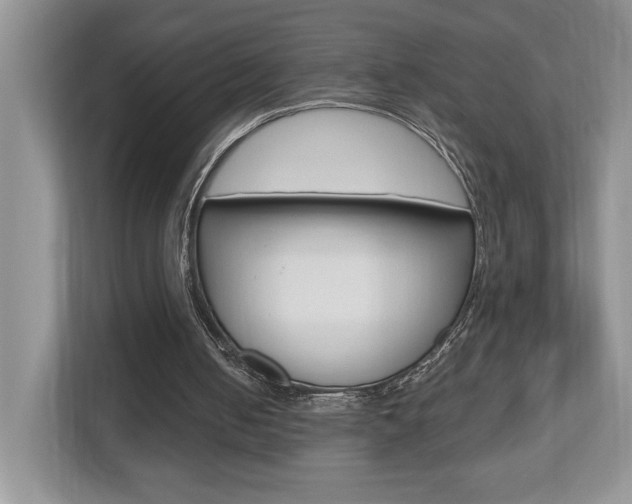 X0000112540050200908171214