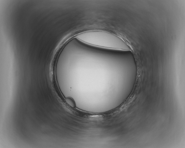 X0000112540053200908171214