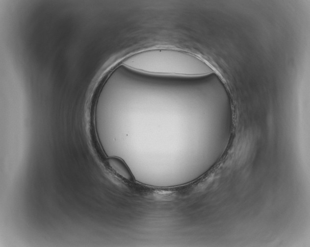 X0000112540055200908171214
