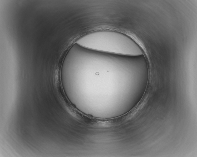 X0000112540057200908171214