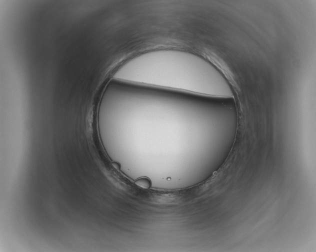 X0000112540058200908171214