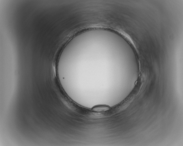 X0000112540061200908171214