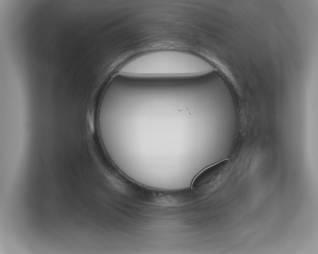 X0000112540062200908171214