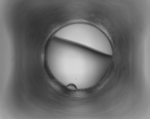 X0000112540063200908171214